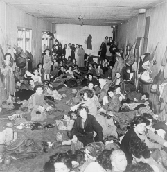 Displaced Persons´ Camp i Bergen Belsen i den britiske besættelseszone i Tyskland. Israel ung og ældgammel. Israel-Info